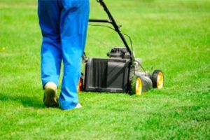 Gardening maintenance best sale near me