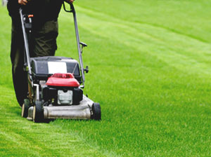 lawn-mowing-london