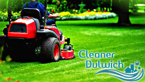 grass-cutting-dulwich