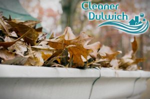 gutter-cleaners-dulwich